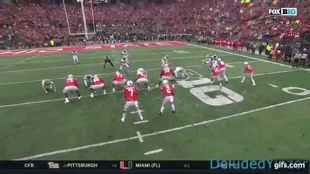 connie berlin recommends Ohio State Gif