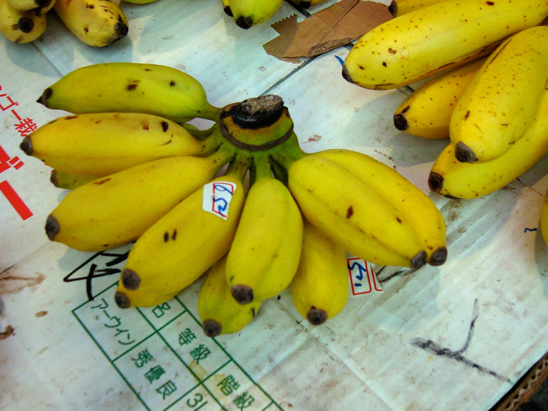 abena adubea recommends Okinawa Banana Show