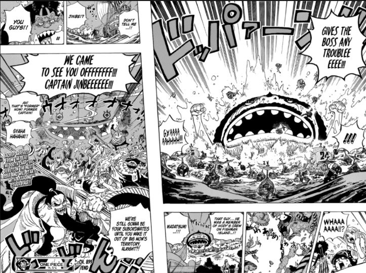 amir mujakovic recommends one piece 899 raw pic