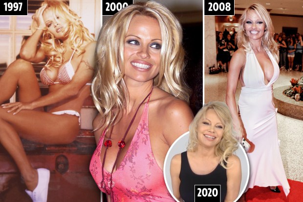 bradley fraser recommends Pamela Anderson Naked Boobs