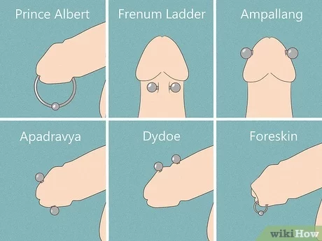 Best of Penis piercing images