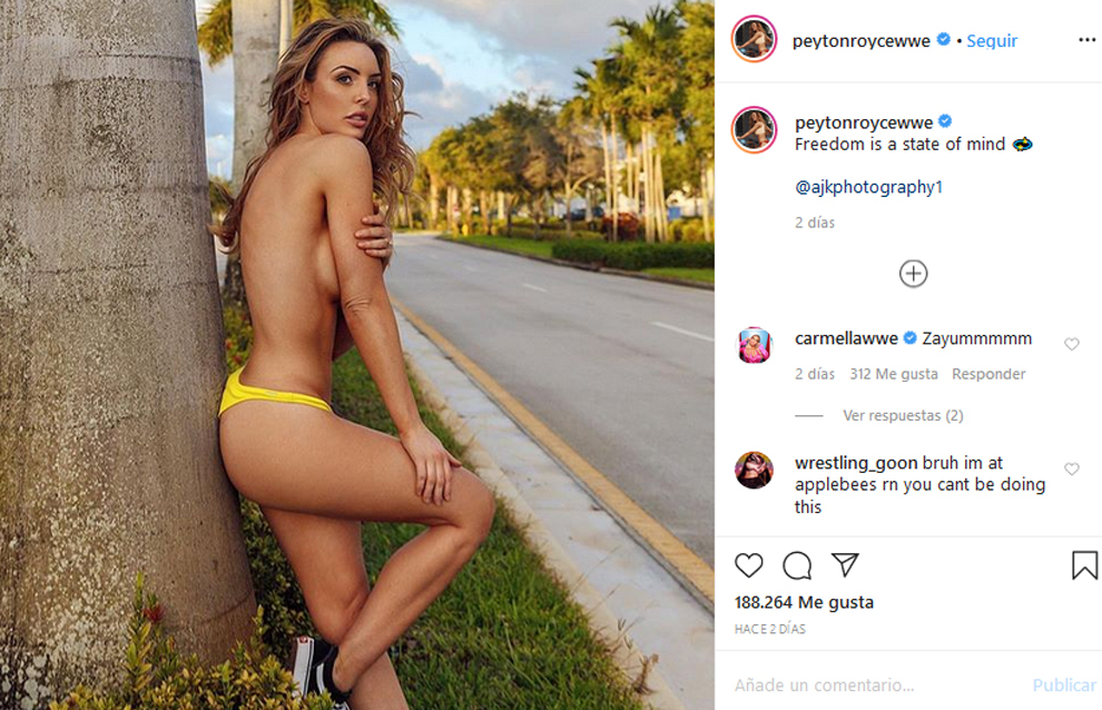 brock ramsay add peyton royce topless photo