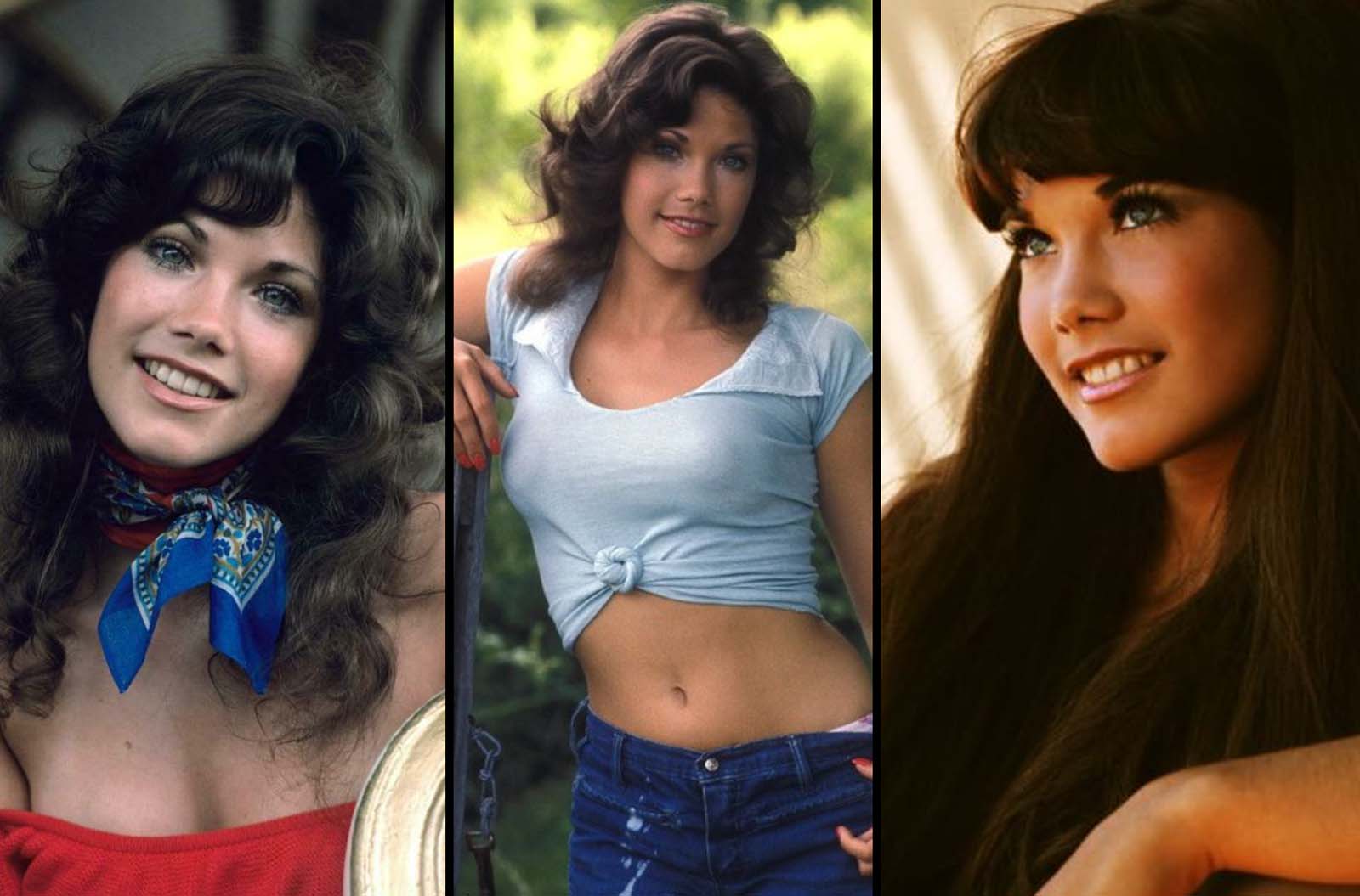 cheryl cliffe recommends pictures of barbi benton pic