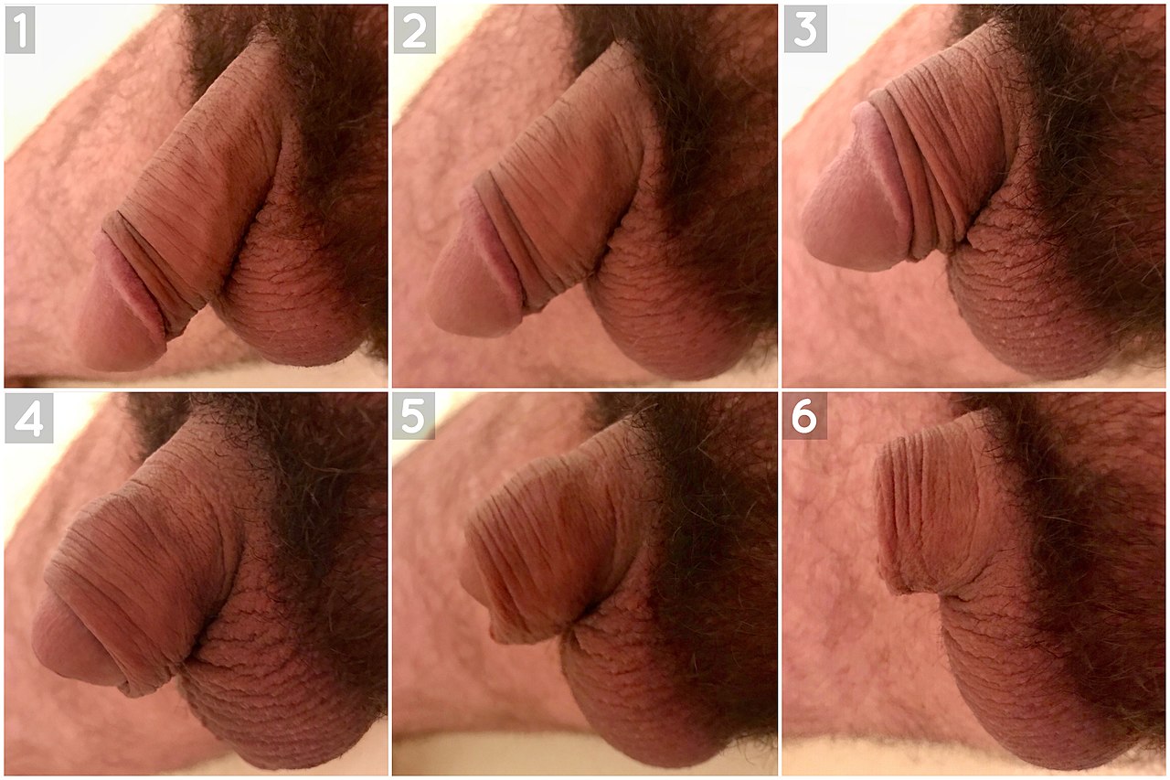 ashwin chauhan recommends playing with flaccid penis pic