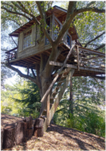 aaron birkland add sex in a treehouse photo