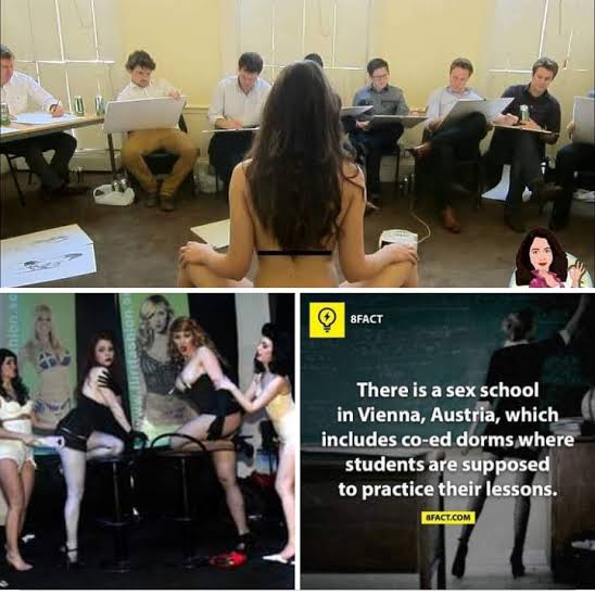 don judilla recommends sex school vienna austria pic