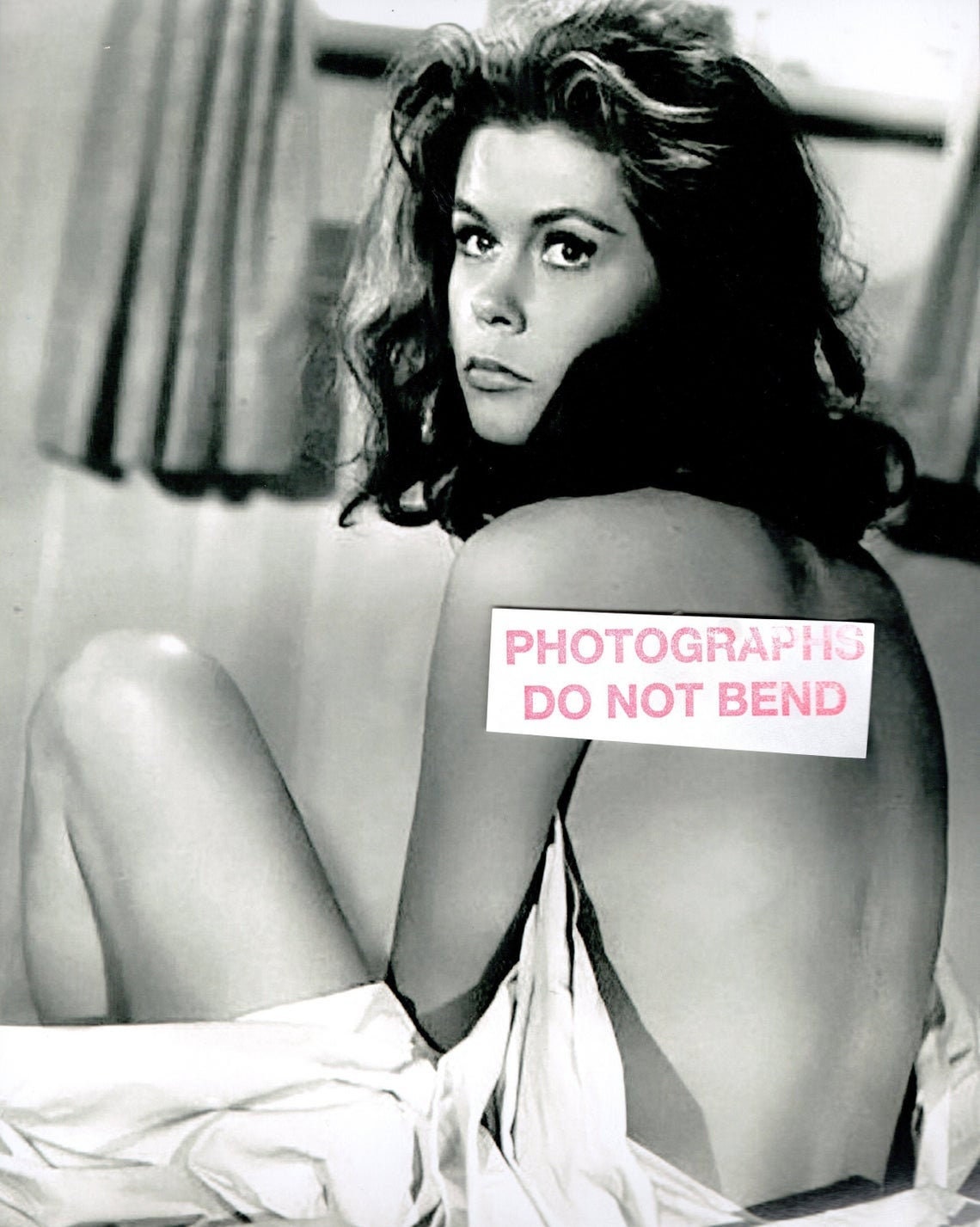 daniel tagg add sexy elizabeth montgomery photo