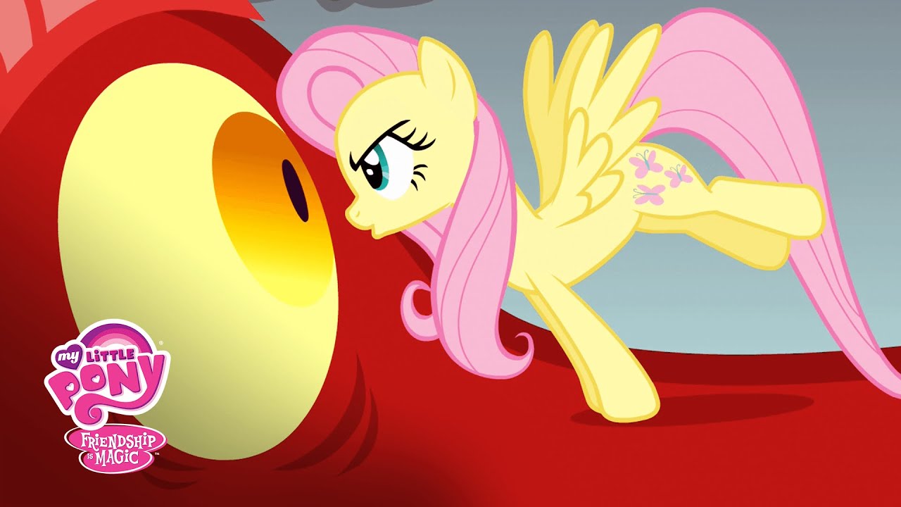 darrshan shan recommends Show Me A Picture Of Fluttershy