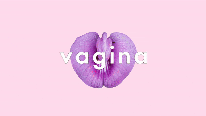 amanda beveridge recommends Show Me Your Vagina Tumblr