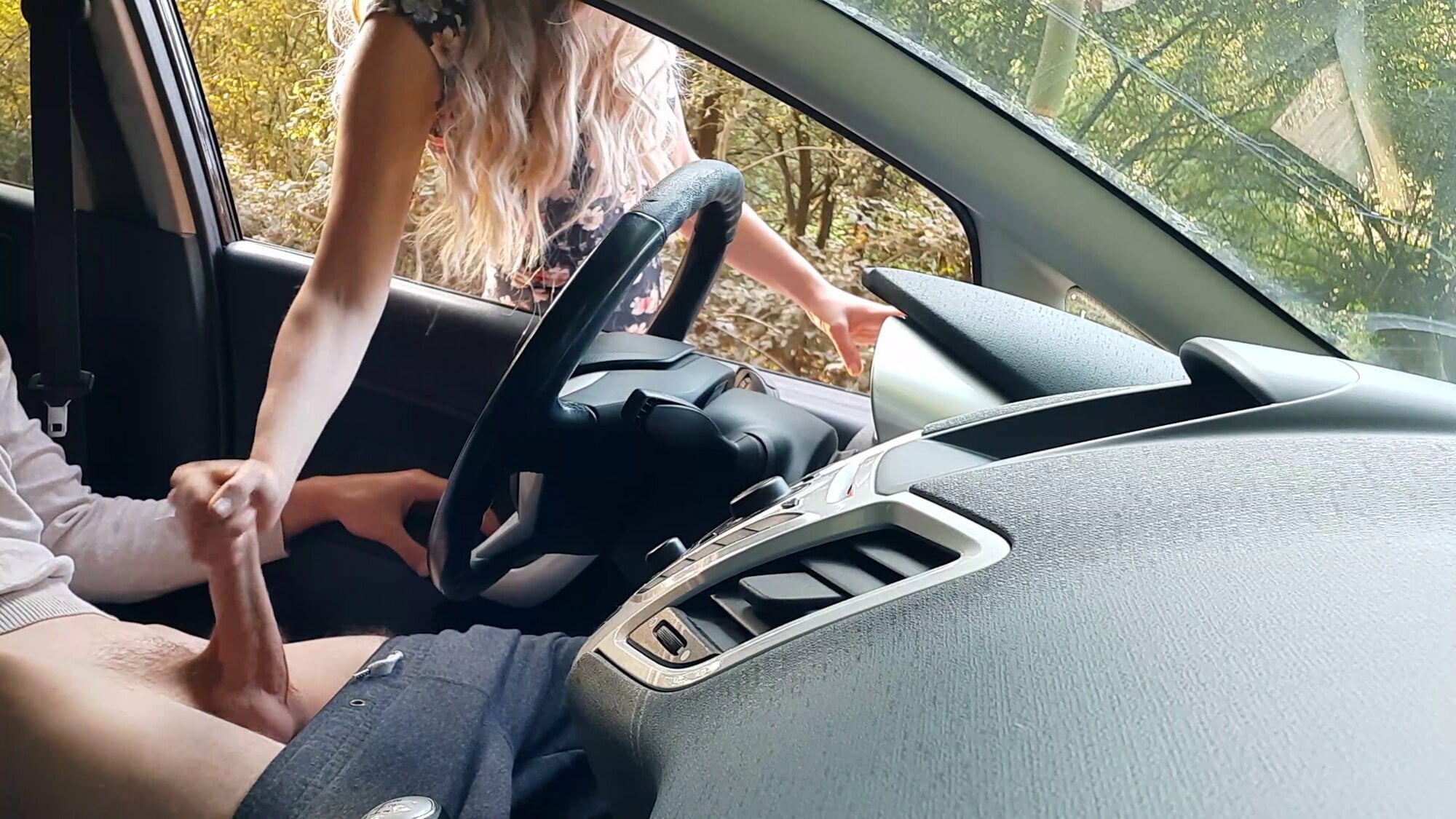 andrea bach recommends Showing Dick In Car