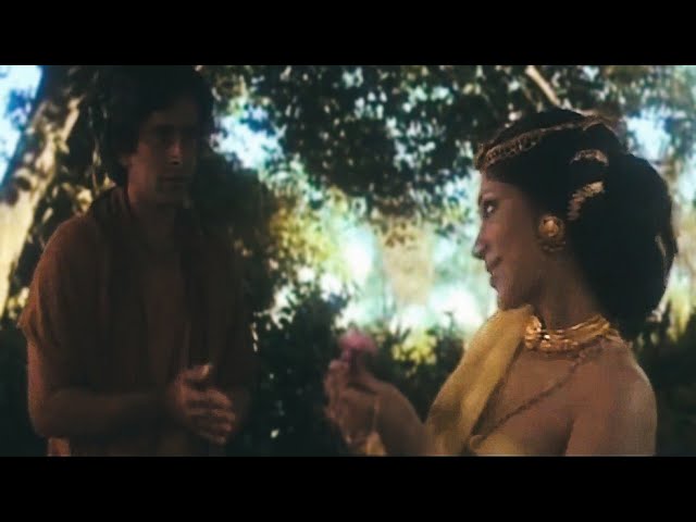 Best of Siddhartha 1972 full movie