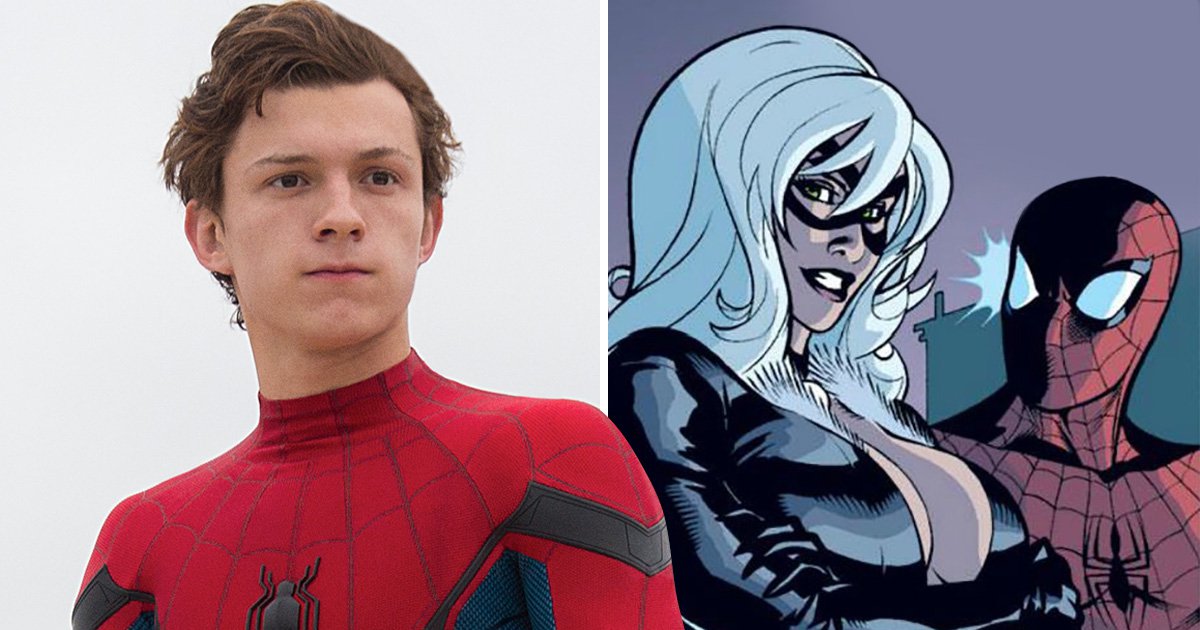 alan hollis recommends spiderman and blackcat sex pic