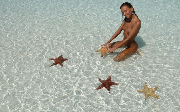alicia napoles recommends Starfish On Tits Porn Beach
