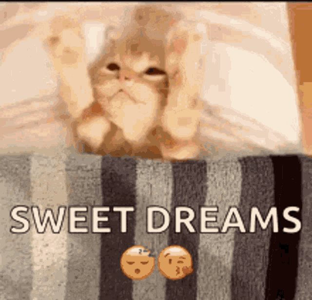 andrie georgiou recommends sweet dreams gif funny pic