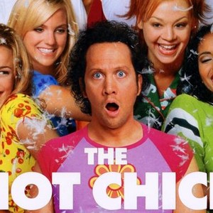 ashley ann laing recommends The Hot Chick Torrent