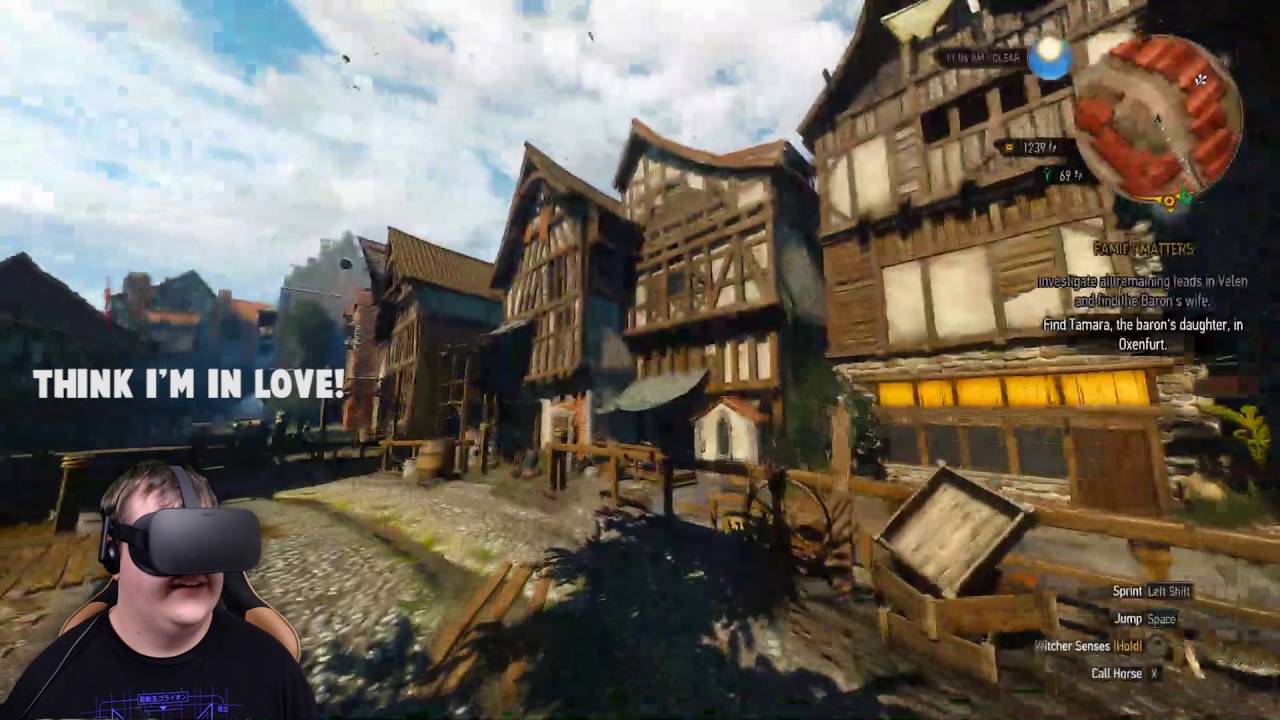 The Witcher 3 Vr lovely pics