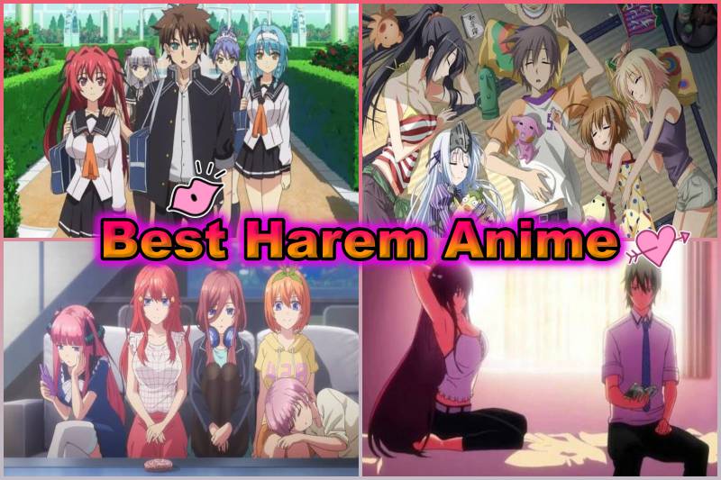 Top Ten Harem Anime gay cock