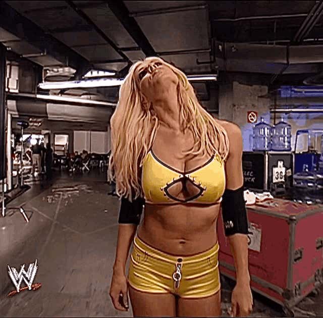 cha less add photo torrie wilson stinkface