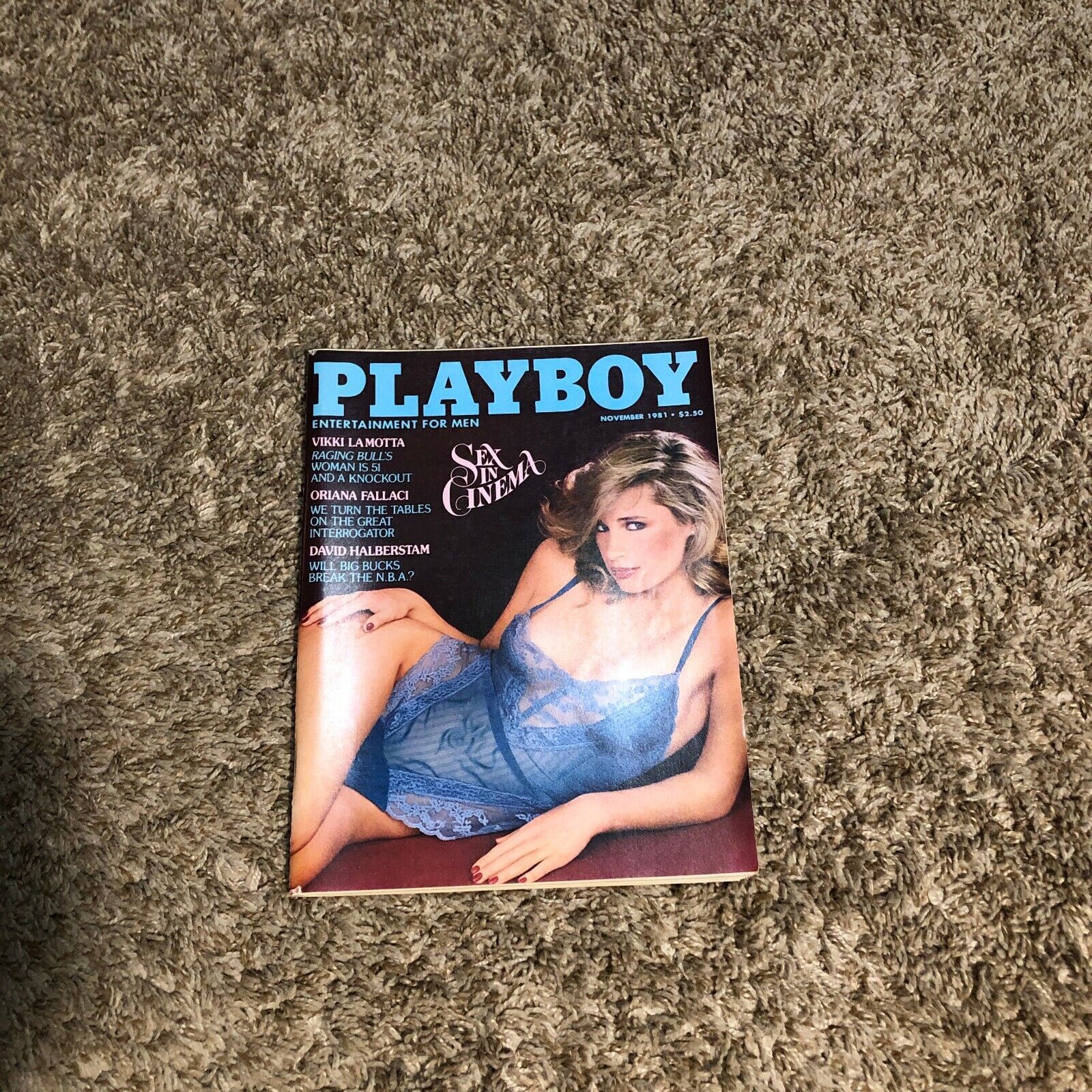 amit bendale recommends Vicki Lamotta Playboy Pics