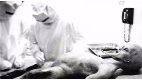 anastasia terzieva add video de autopsia reales photo