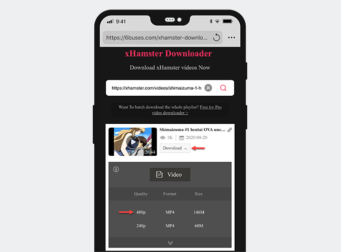 Best of Video downloader for xhamster