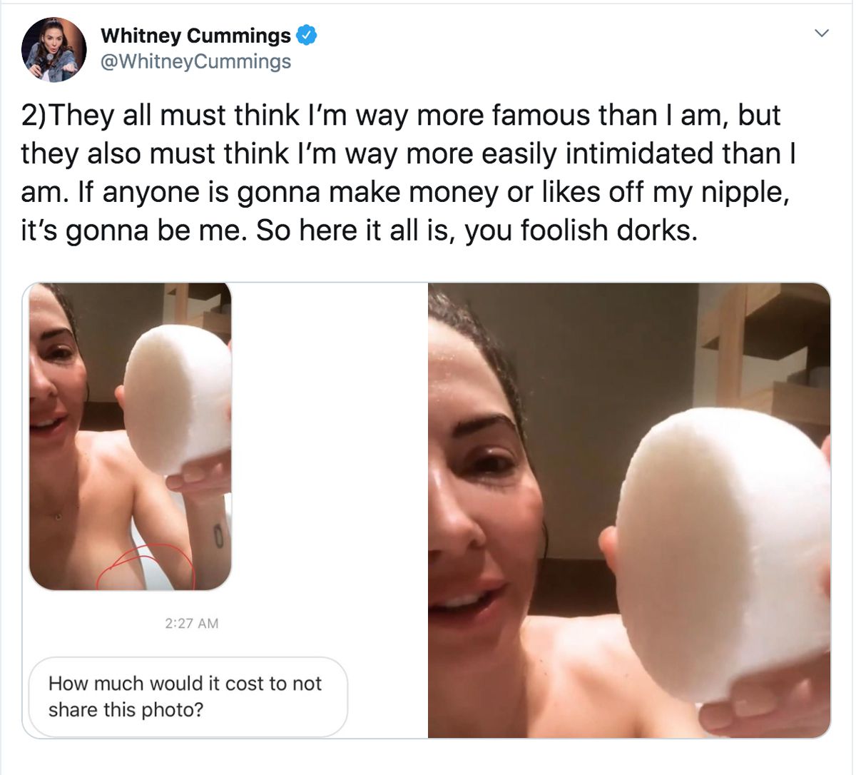 connie fenimore recommends whitney cummings topless pics pic