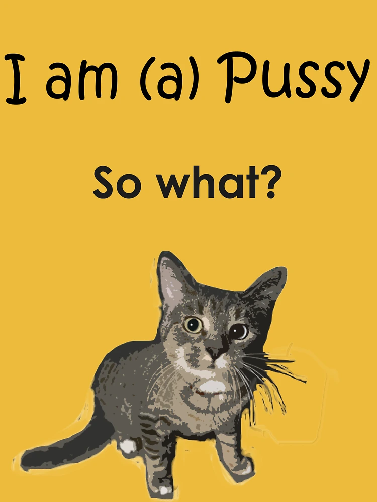 Best of Why am i such a pussy