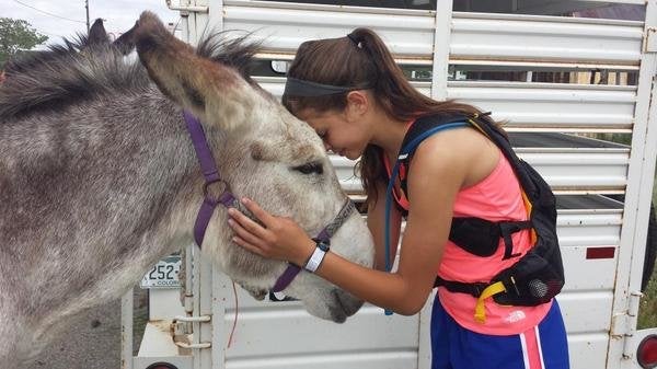 angela gonsalez share women having sex with donkey photos