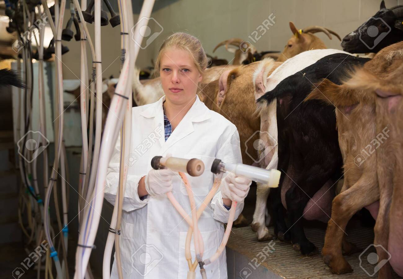 brittney ihrig recommends Women On Milking Machines