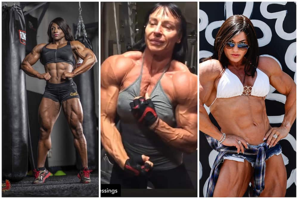 amanda daughtry recommends world biggest woman bodybuilder pic