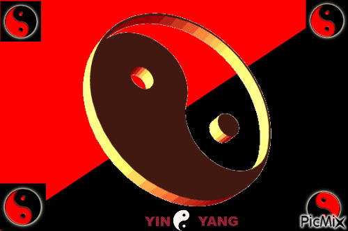 david smolik share yin and yang gif photos
