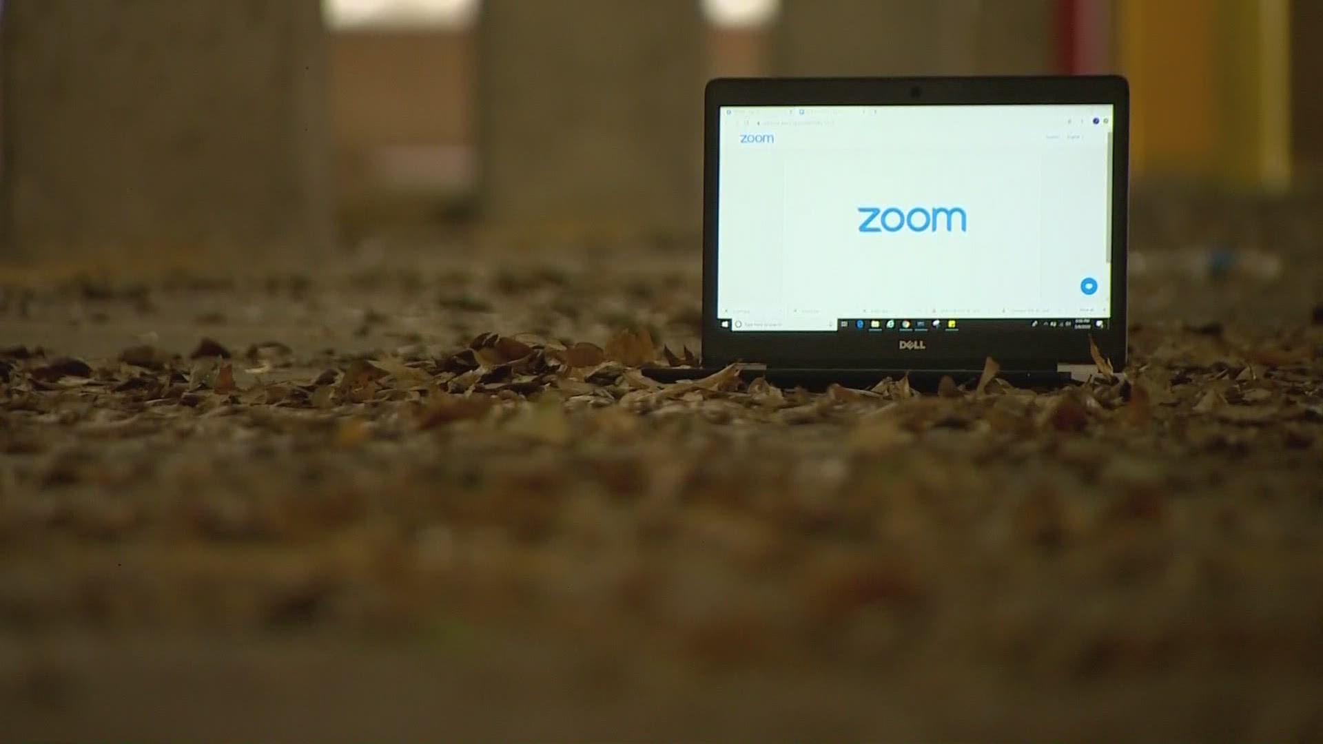 zoom call porn